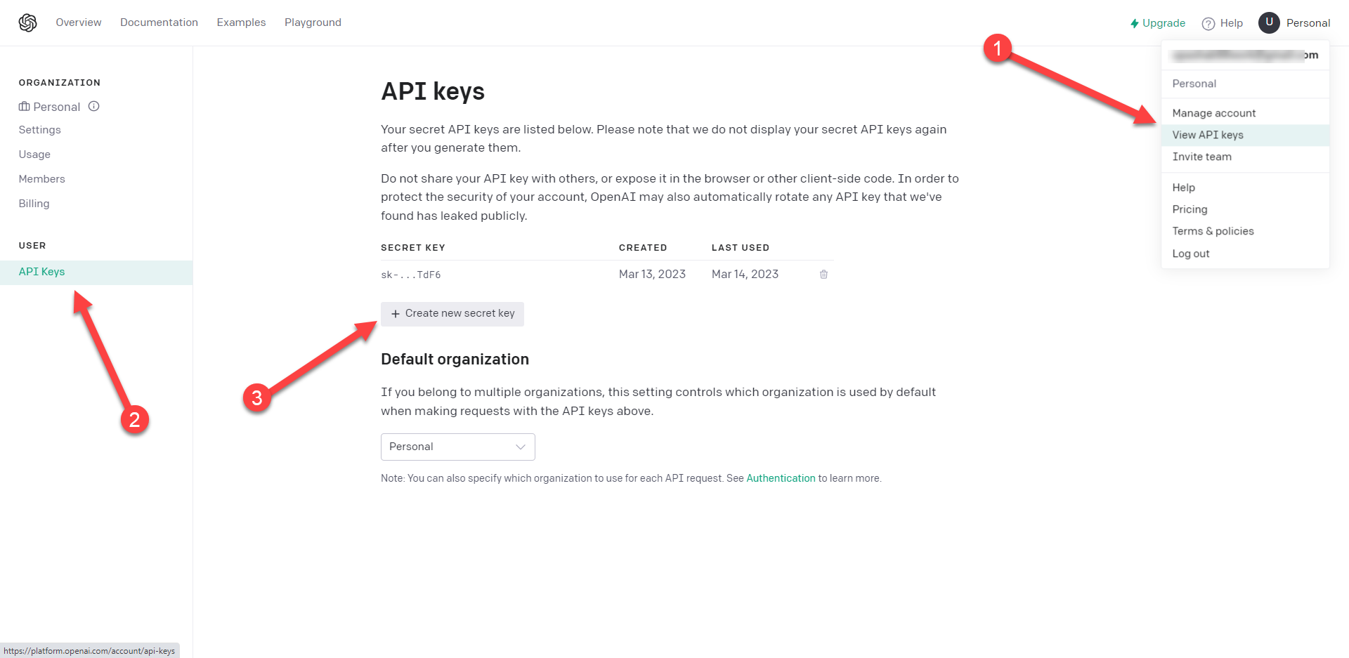 openapi_key.png