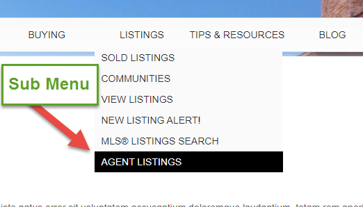 listingagentSubmenu.png